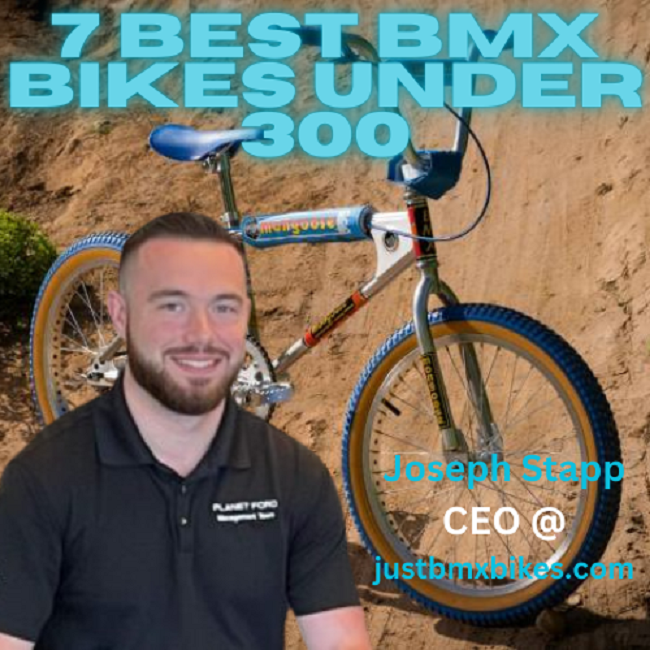 Best Bmx Bikes Under 300